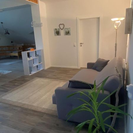 Penthouse N74 Linz 120 Qm Kids Welcome! Buitenkant foto
