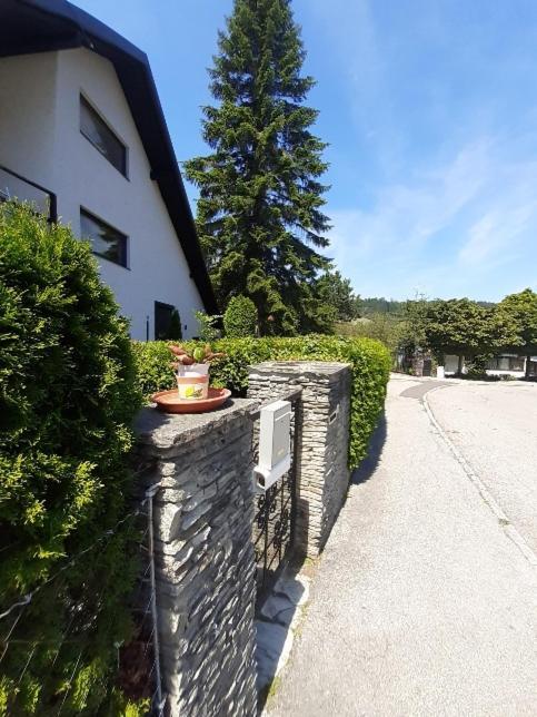 Penthouse N74 Linz 120 Qm Kids Welcome! Buitenkant foto