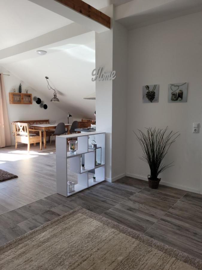 Penthouse N74 Linz 120 Qm Kids Welcome! Buitenkant foto