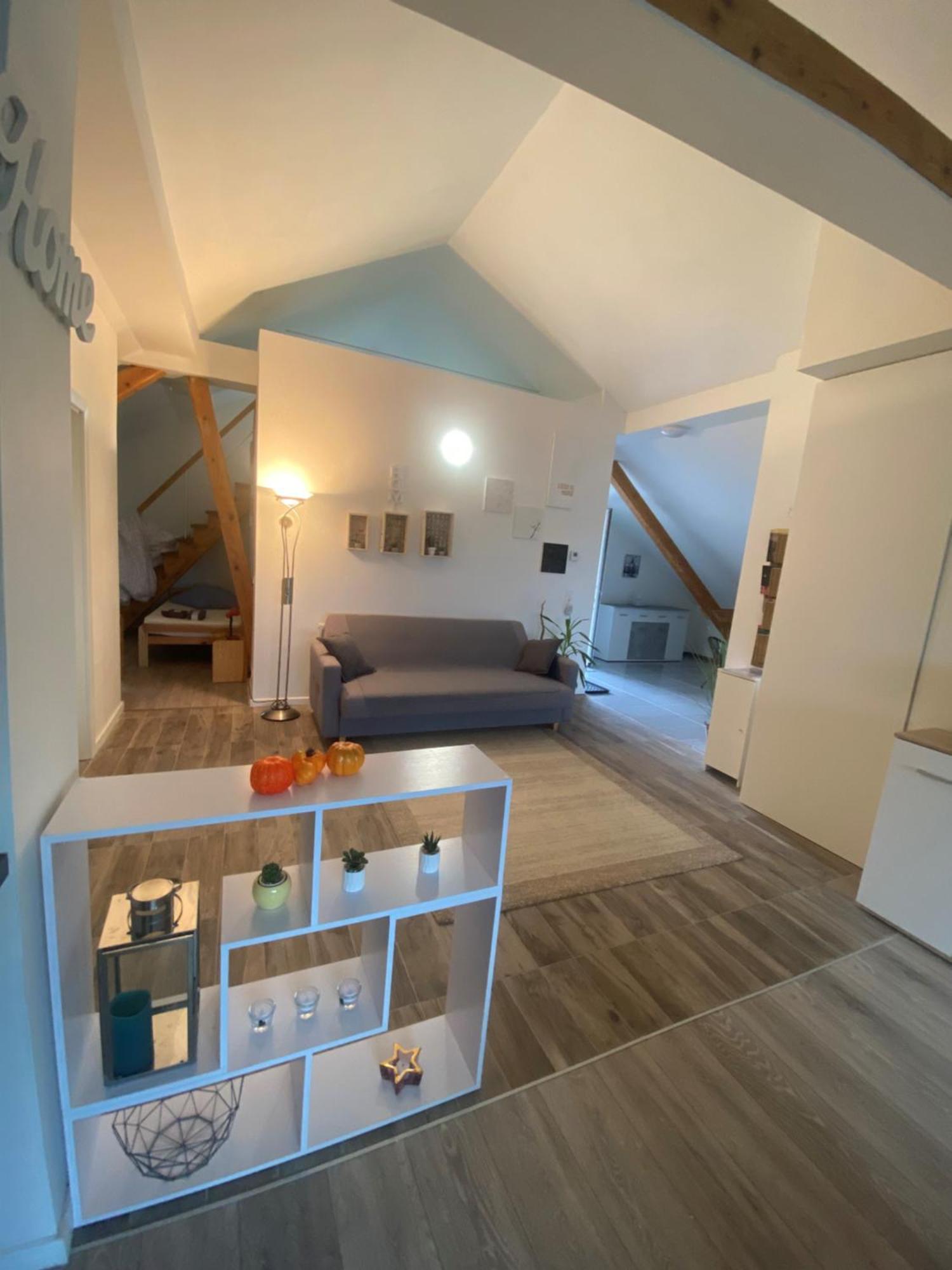 Penthouse N74 Linz 120 Qm Kids Welcome! Buitenkant foto